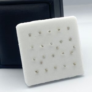 Aretes de la nariz plata