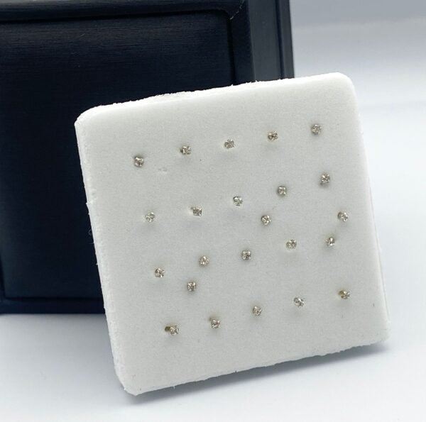 Aretes de la nariz plata