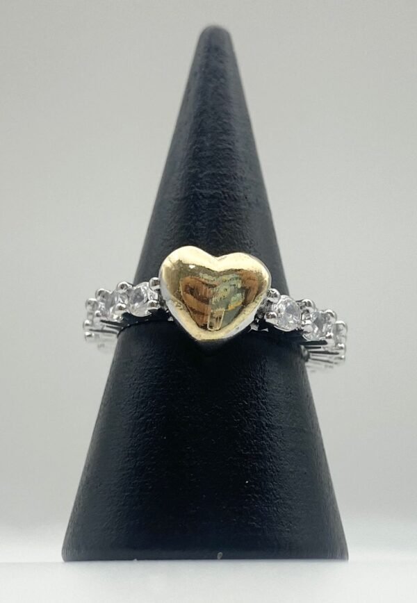 Anillos Acero ajustable
